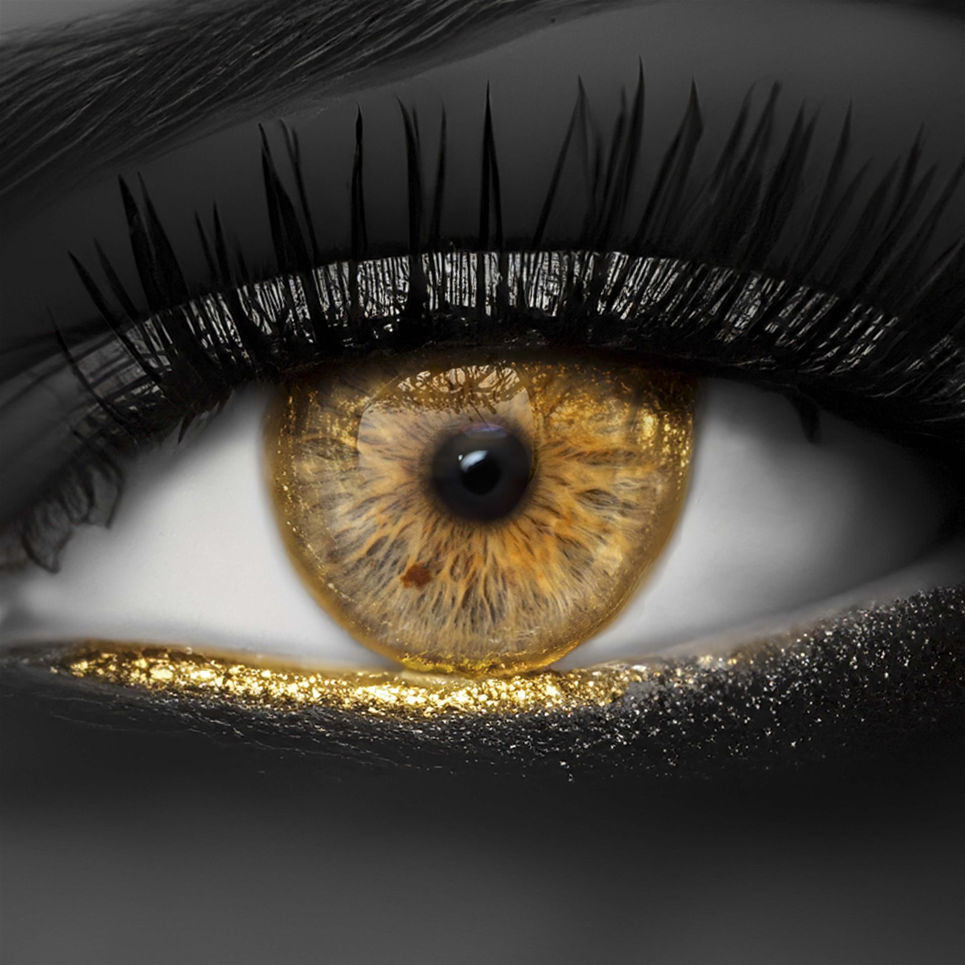 Schwarzes Auge – starker Kontrast