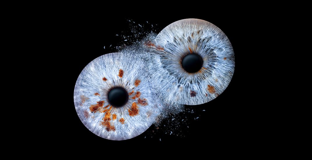 Paar-Iris – zwei Augen als Kunstwerk
